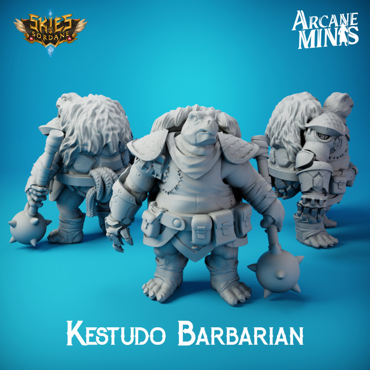 Kestudo/Turtle Barbarian Pirate - Male
